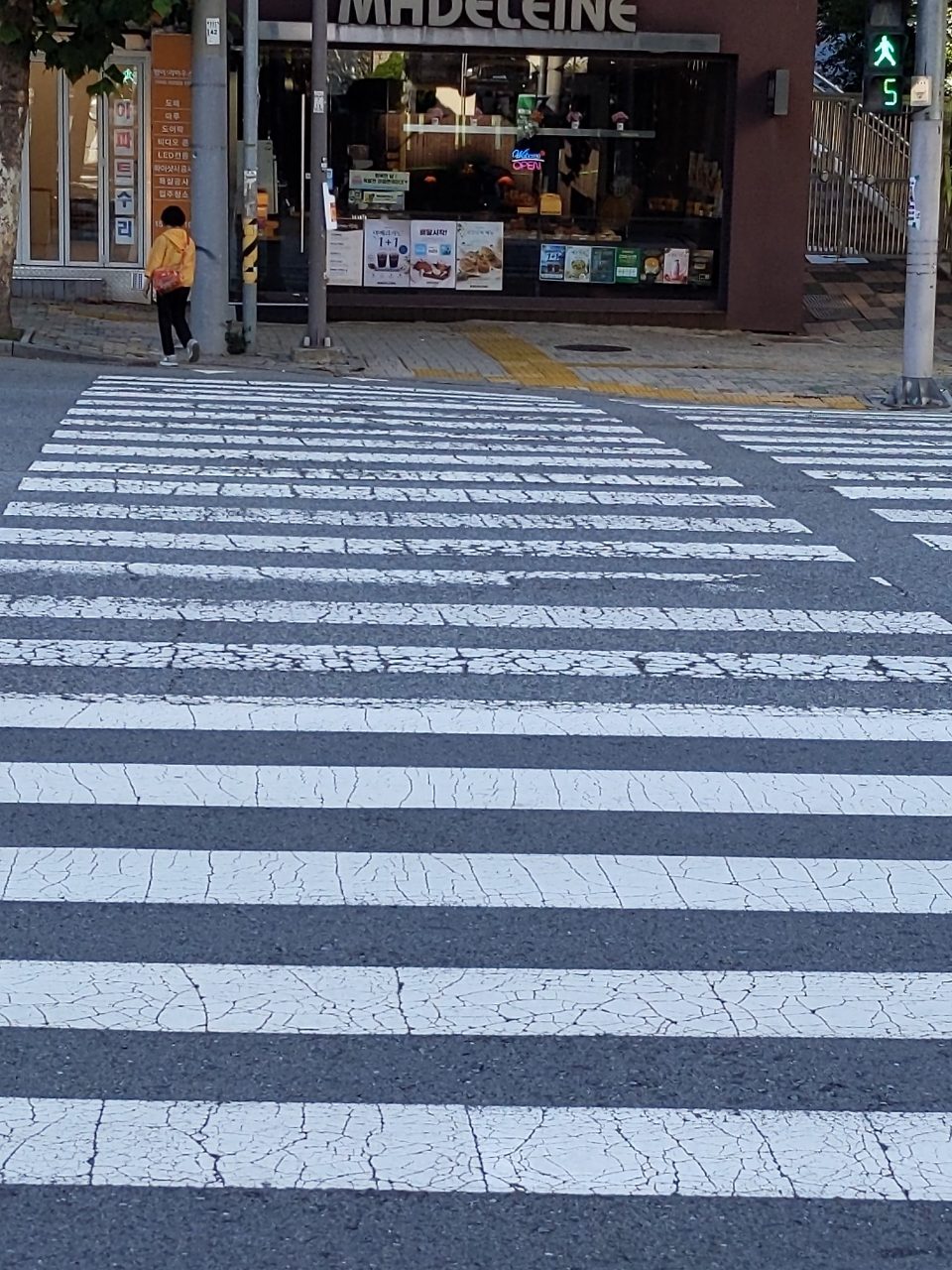 도로 균열