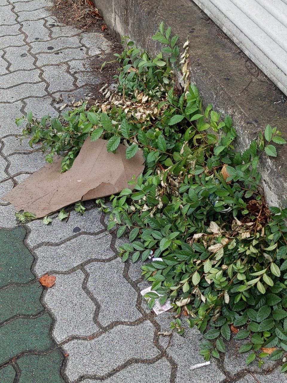보도블록 구조물 파손
