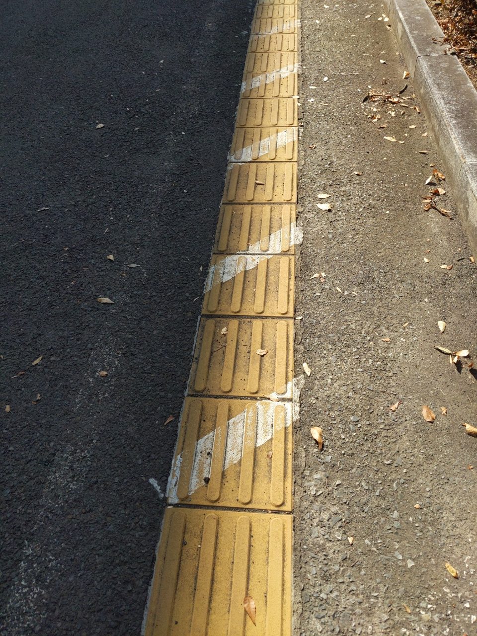 기타
