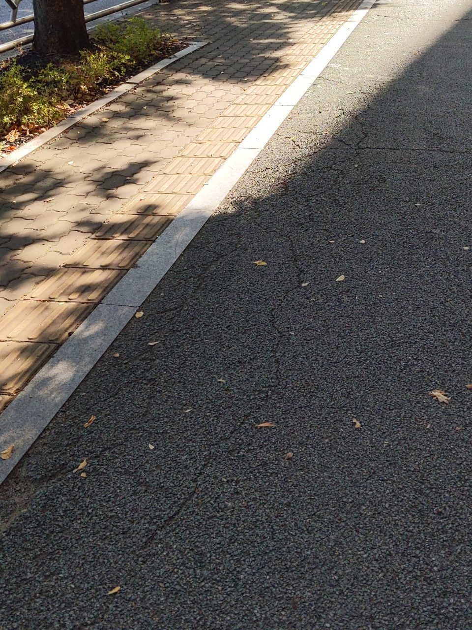 도로 균열
