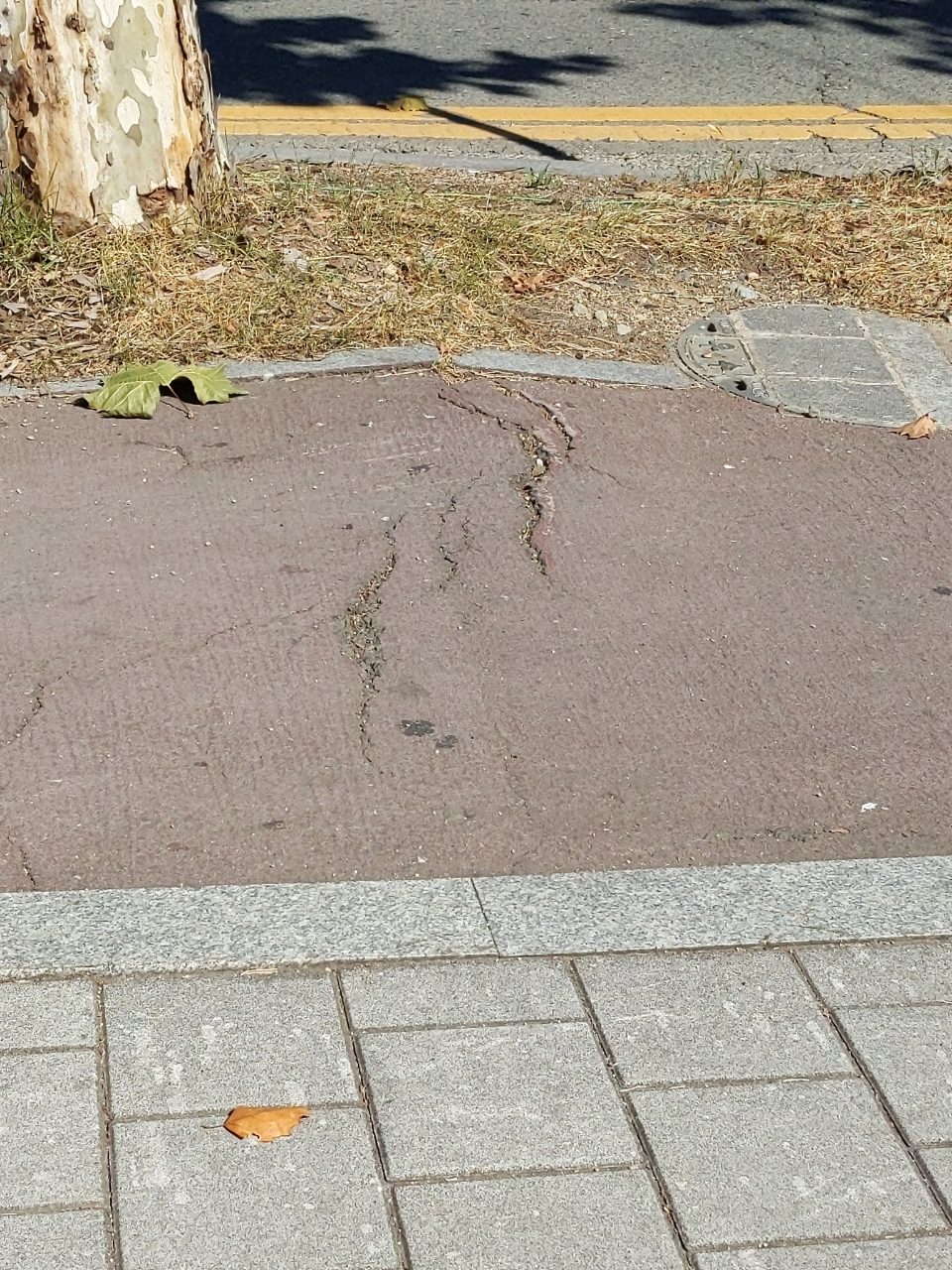 도로 균열