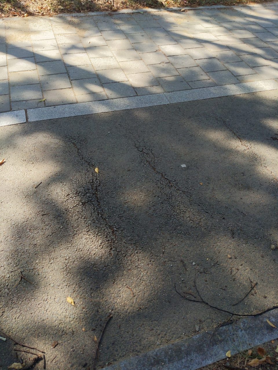 도로 균열