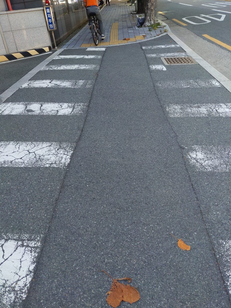 도로 균열