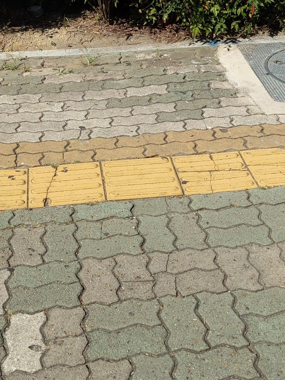 보도블록 균열