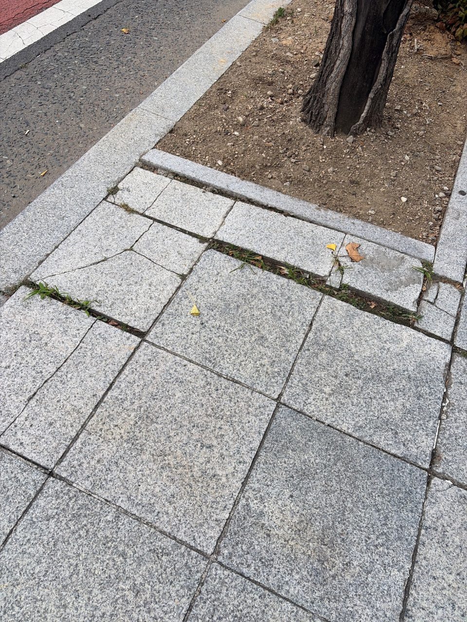 보도블록 구조물 파손