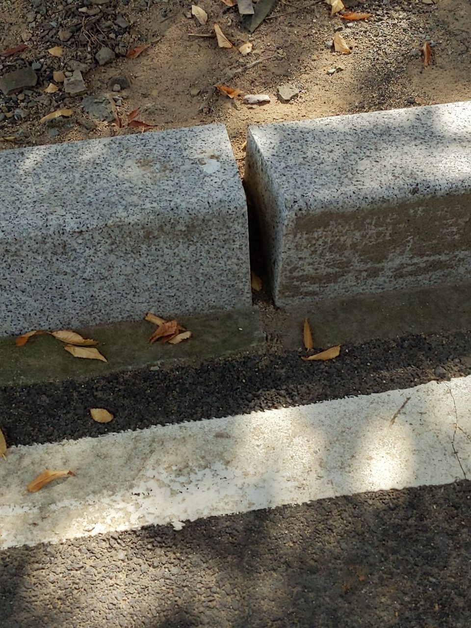 도로 변형