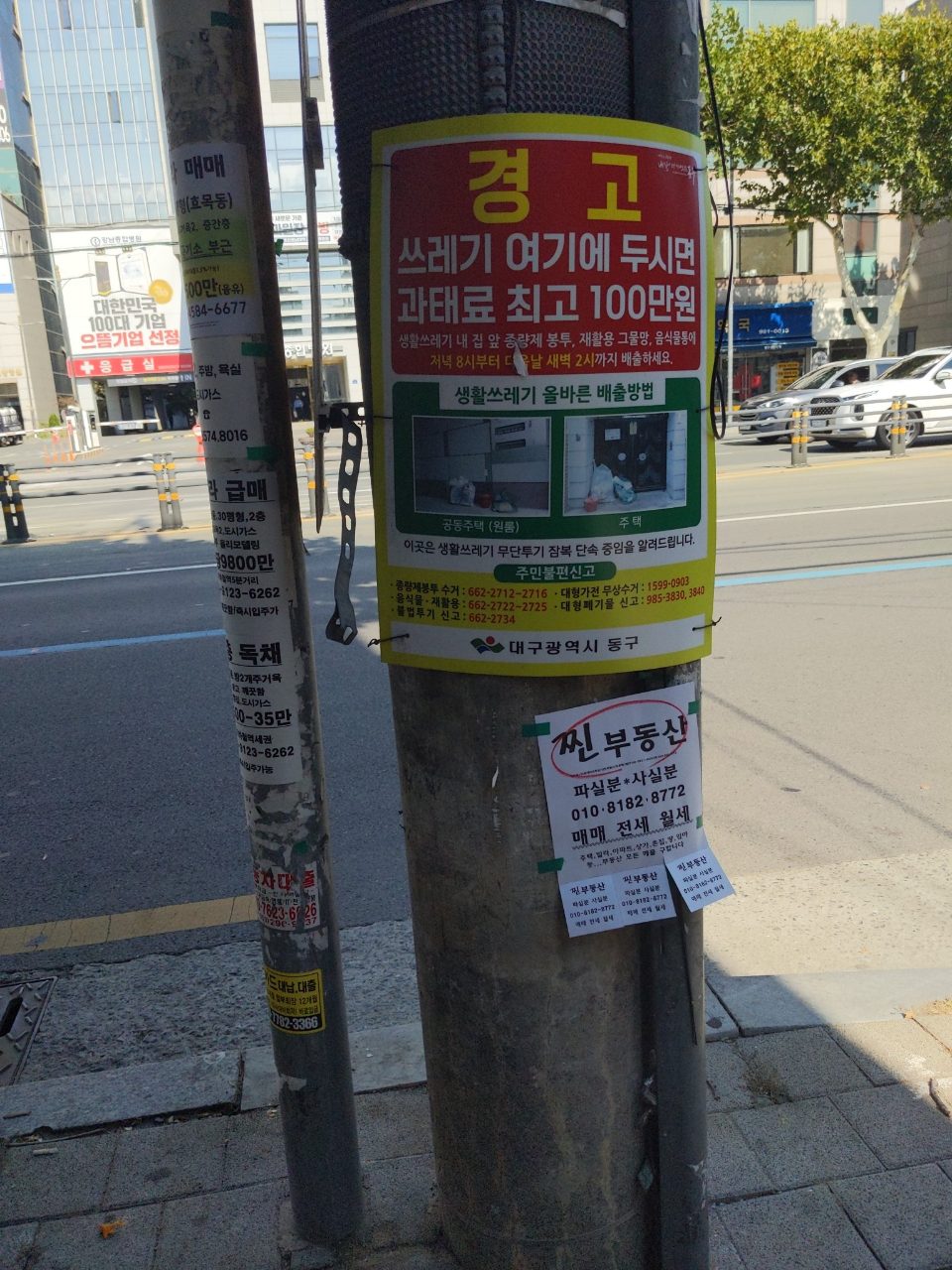 분석 대상 없음