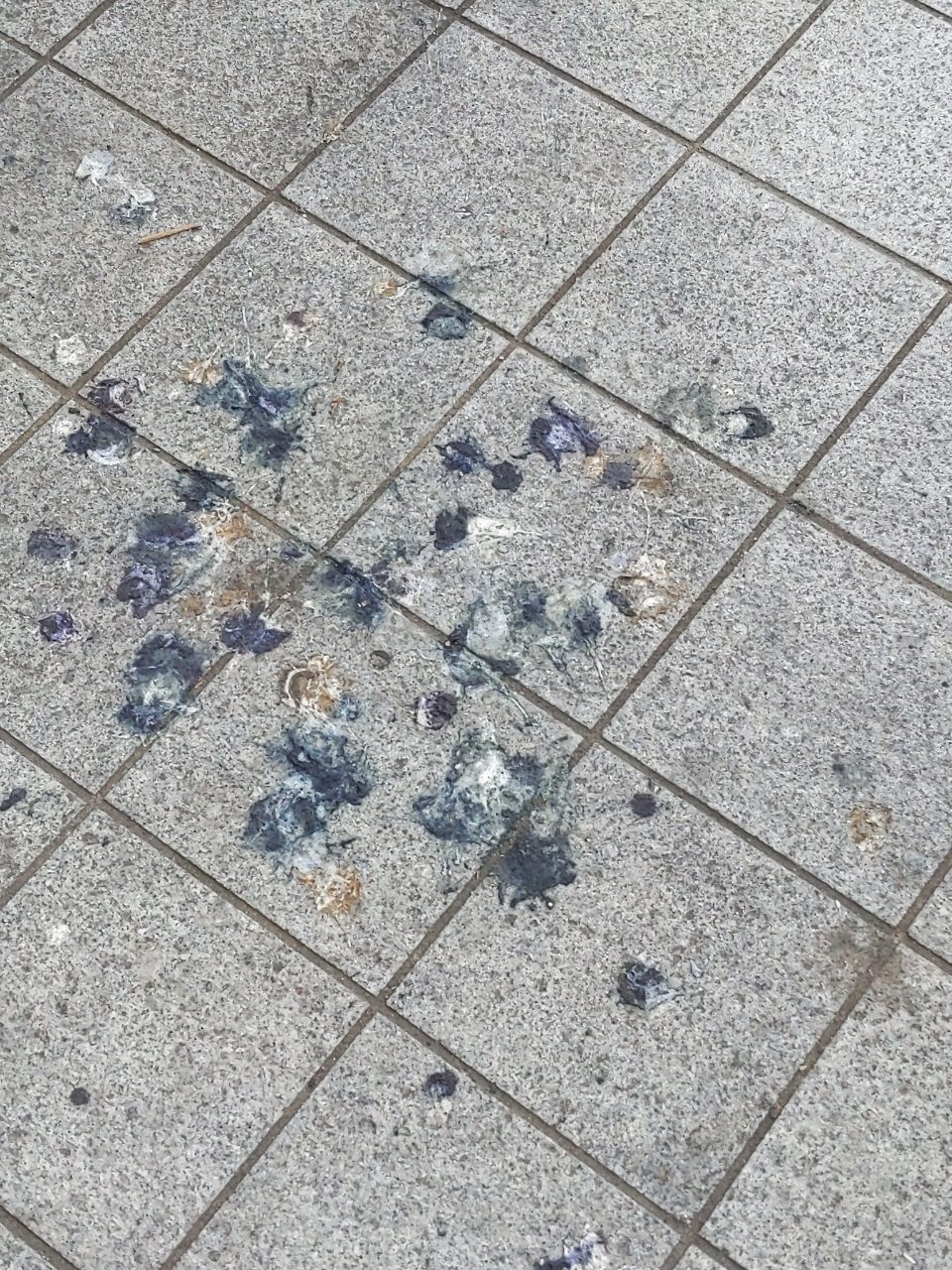 보도블록 균열