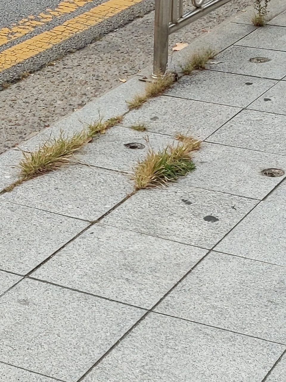 보도블록 균열