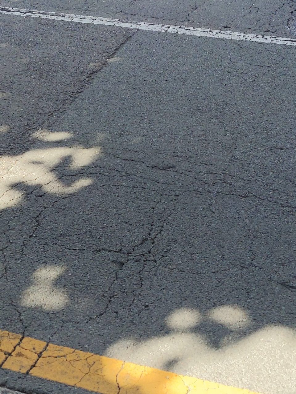 도로 균열