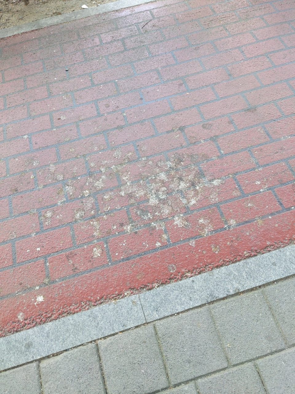 보도블록 변형