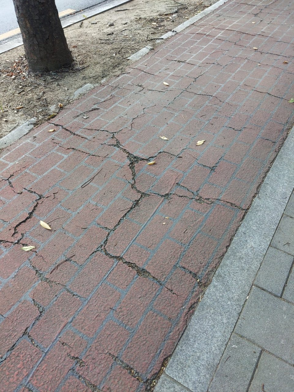 보도블록 균열