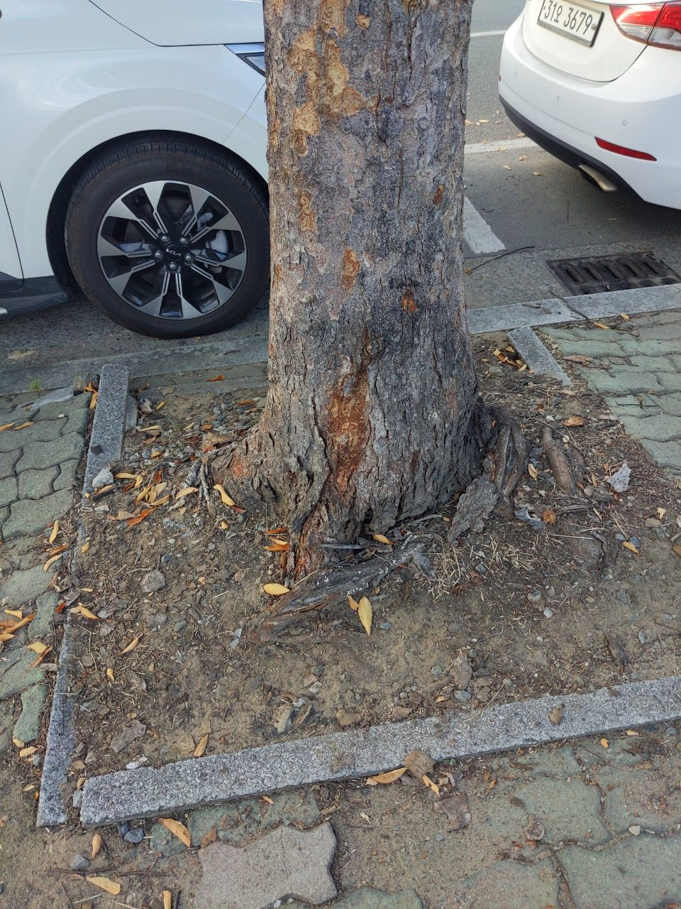 분석 대상 없음