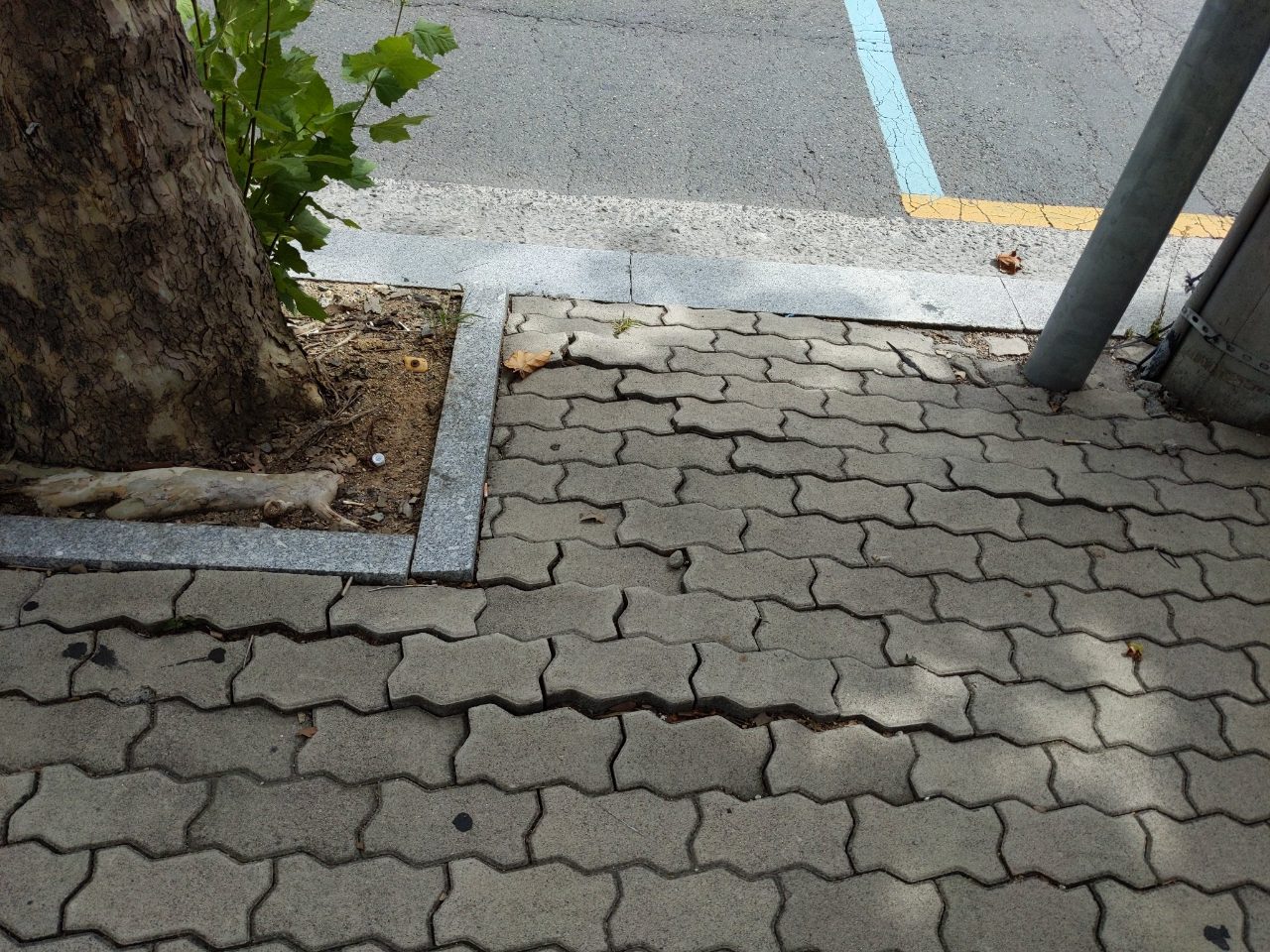 보도블록 균열