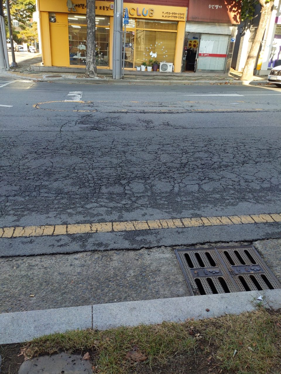 도로 균열