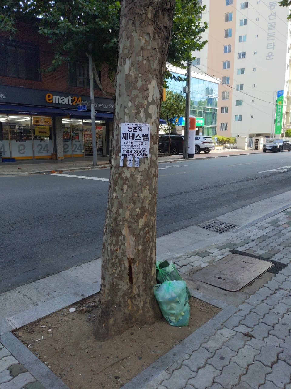 도로 이상 없음