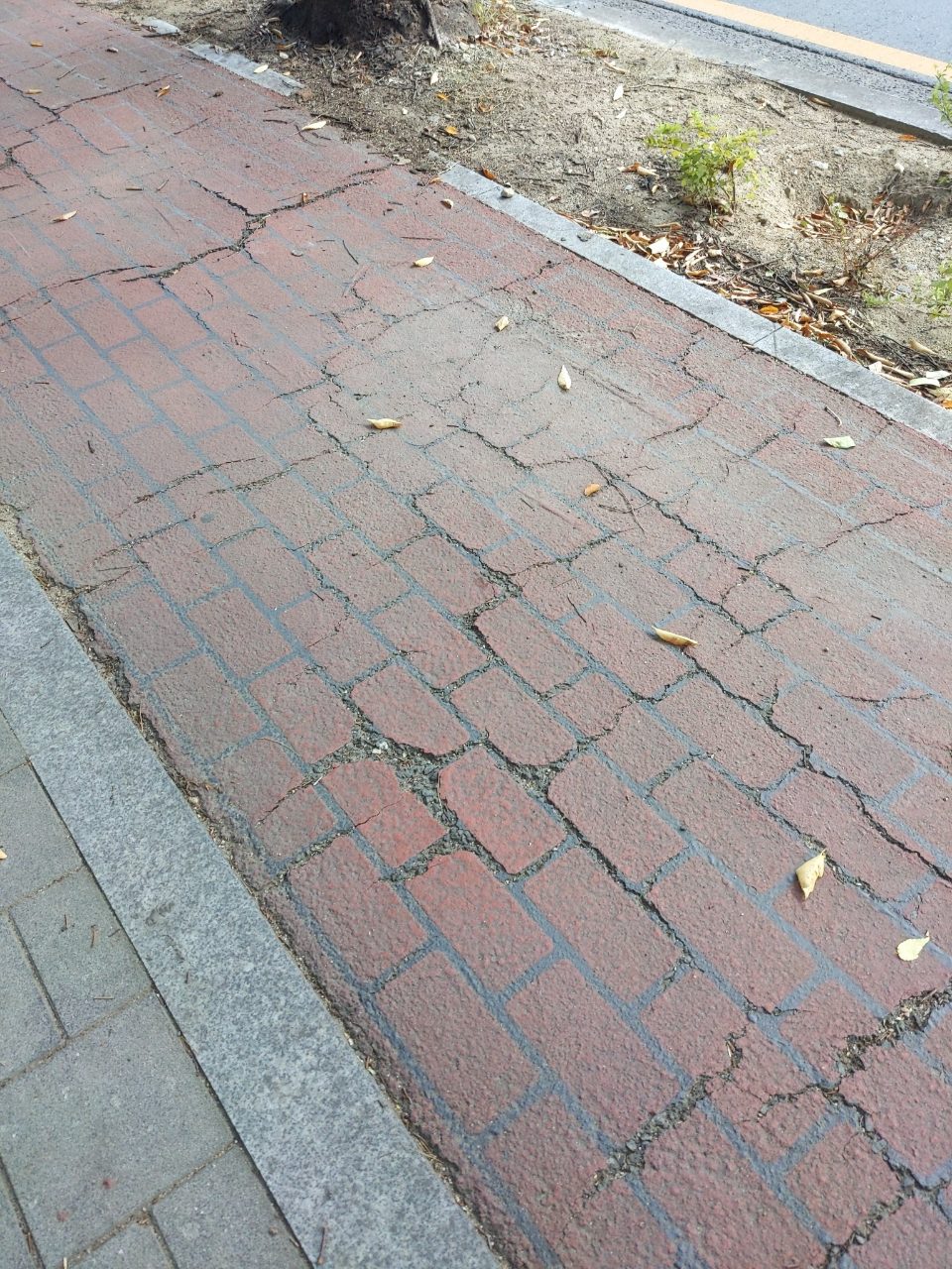 보도블록 균열