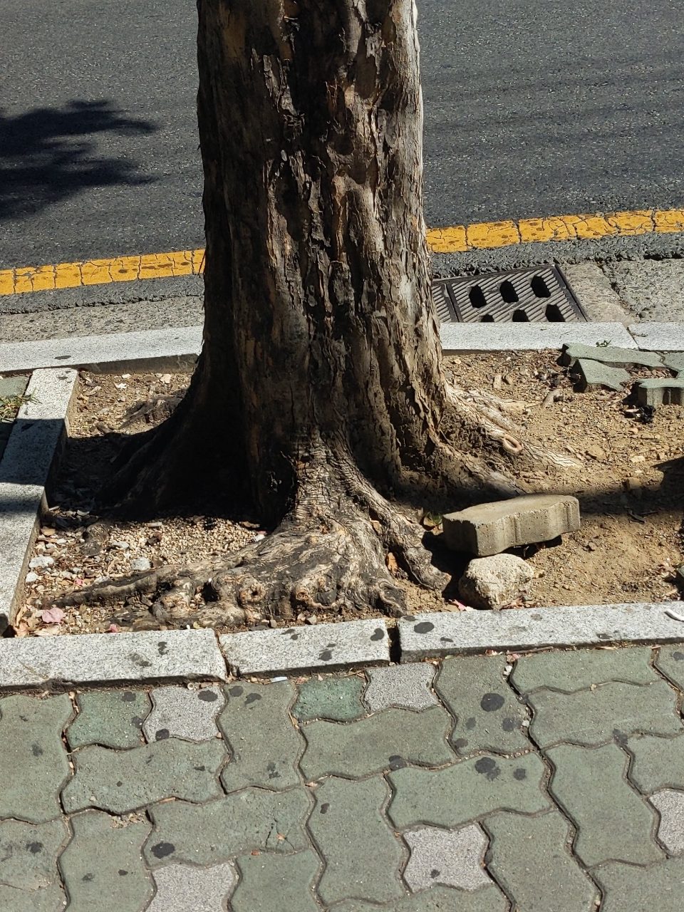 분석 대상 없음
