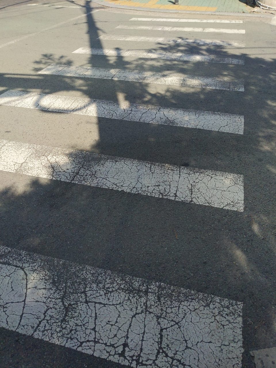 도로 균열