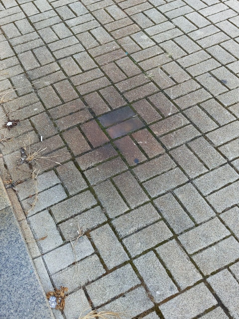 보도블록 구조물 파손