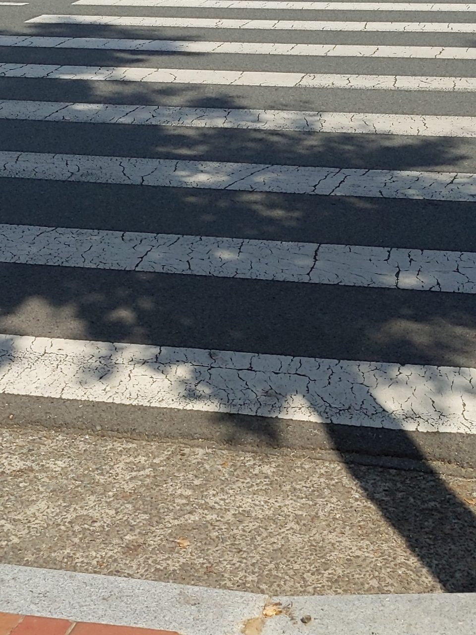 도로 균열