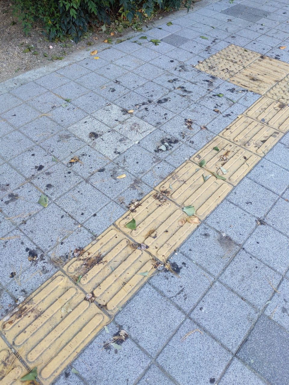 보도블록 구조물 파손