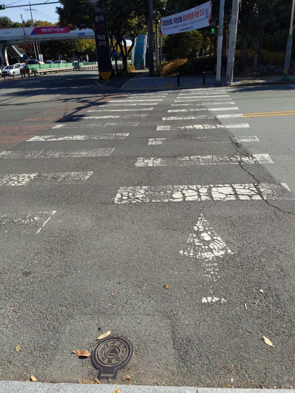 도로 균열