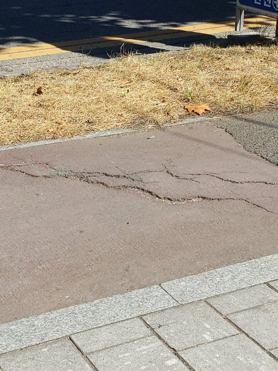 도로 균열