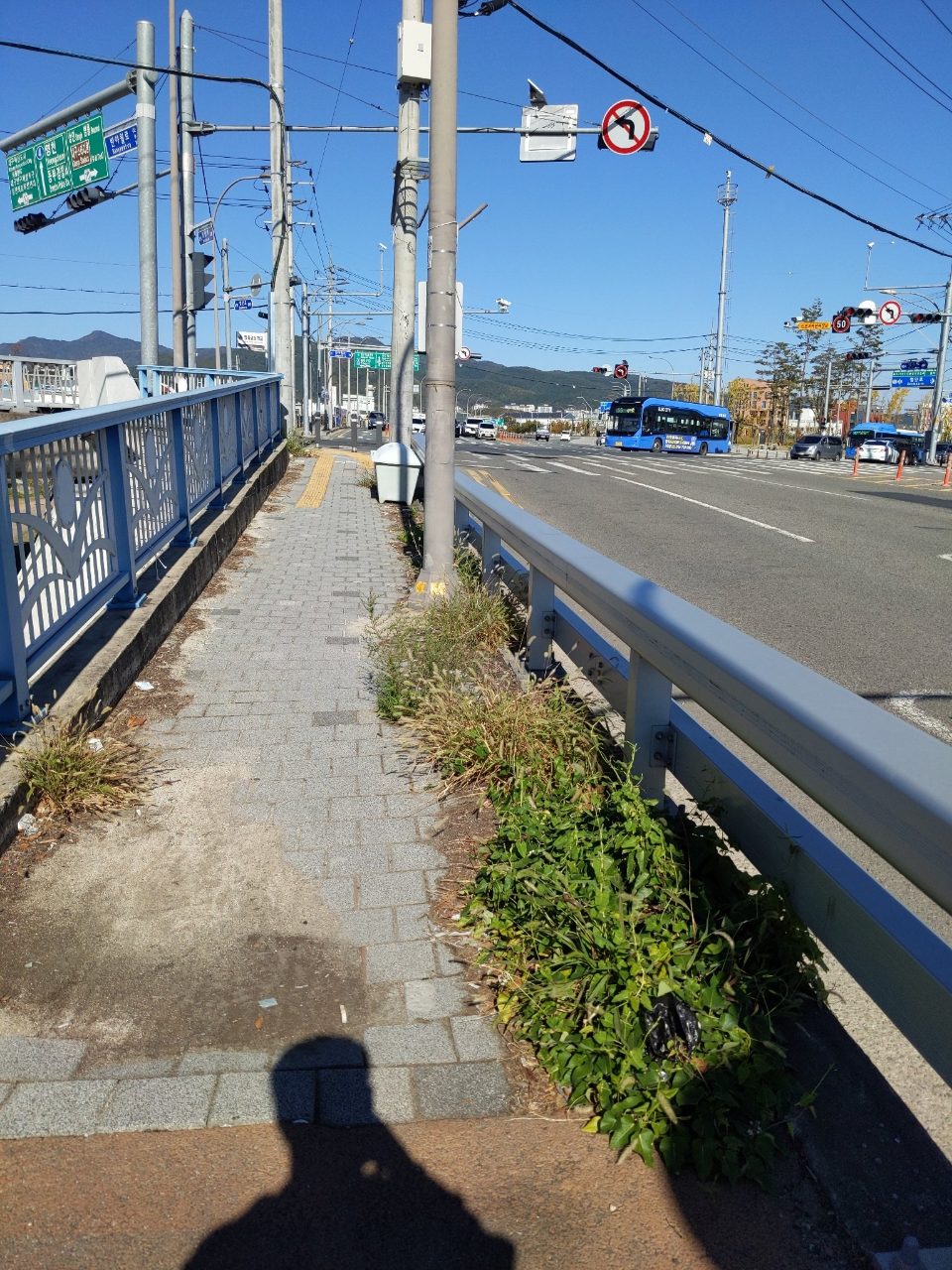 도로 장애물