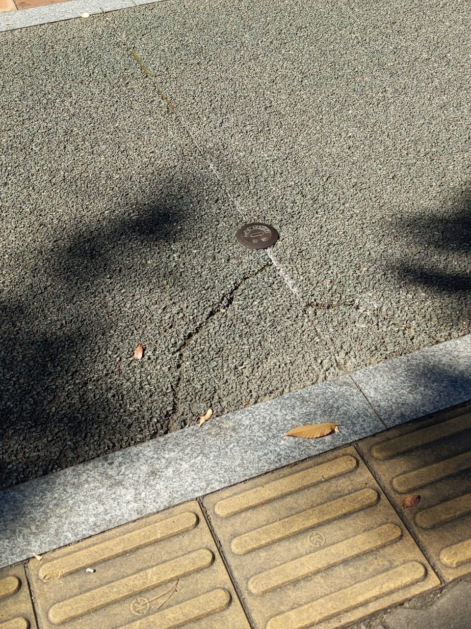 도로 균열