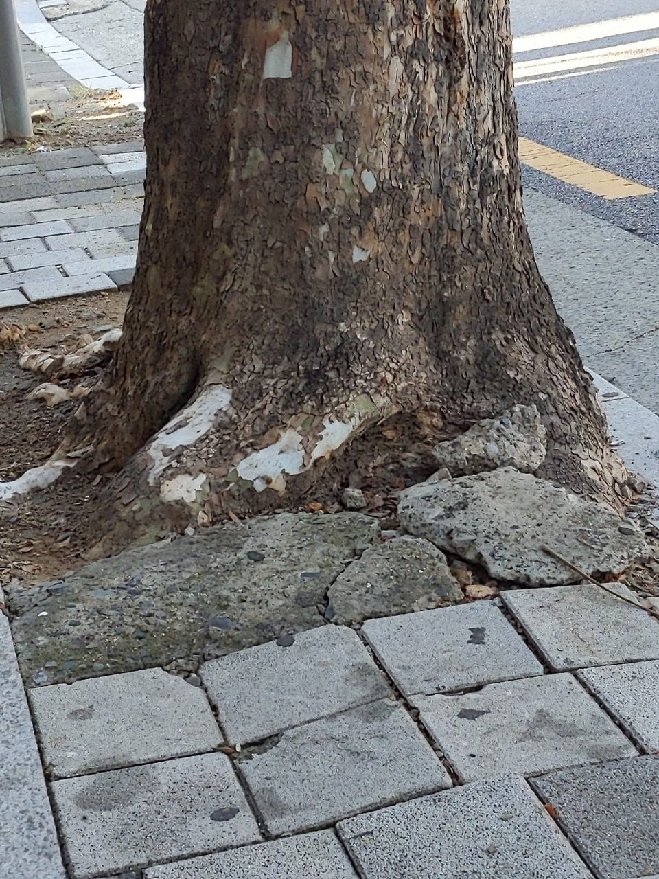 보도블록 구조물 파손