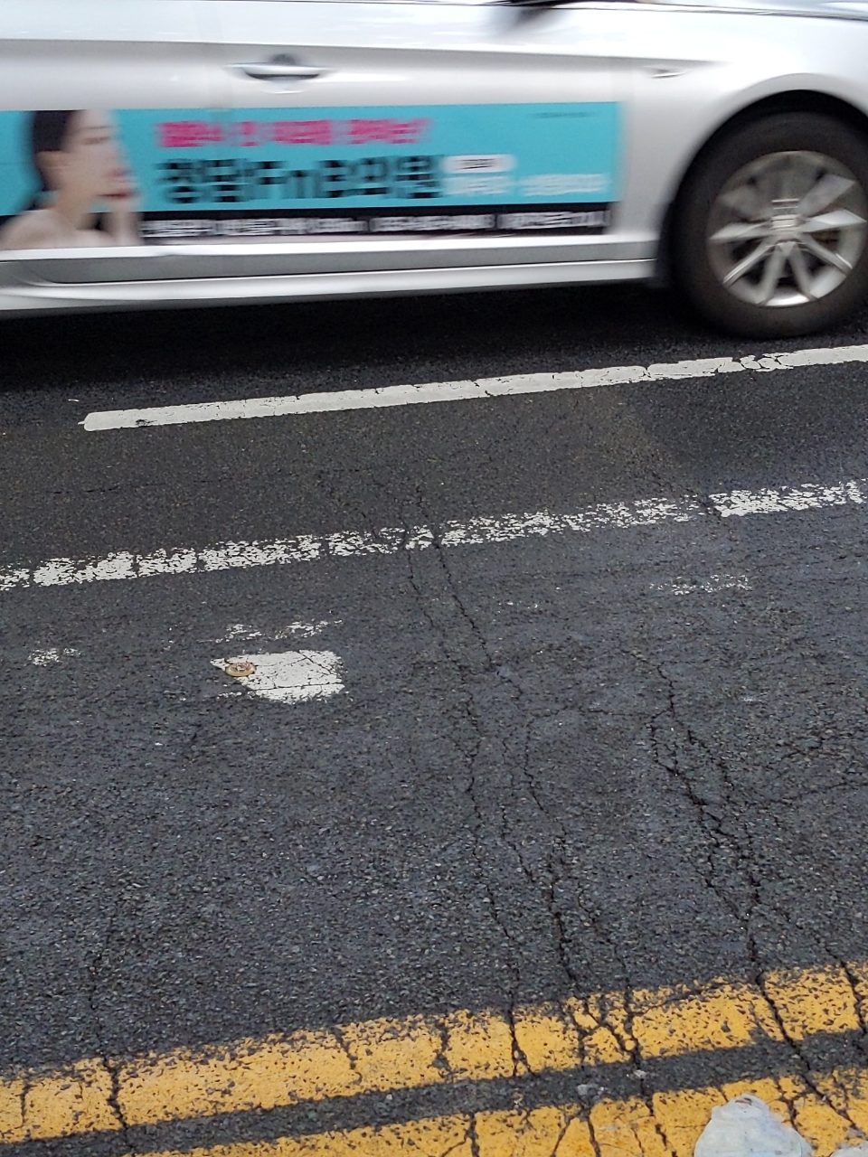 도로 균열