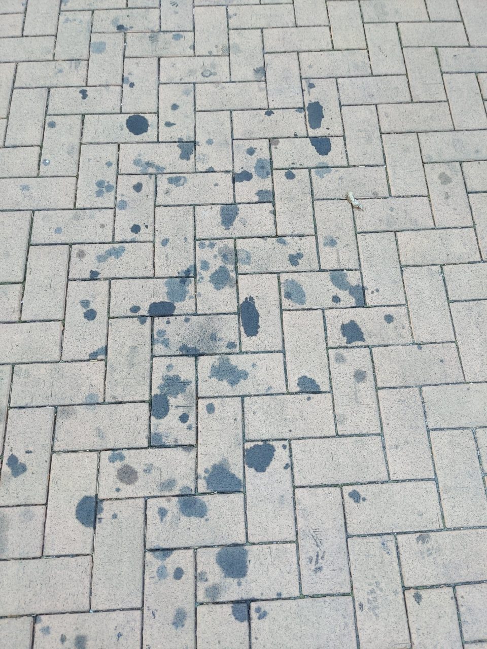보도블록 이상 없음