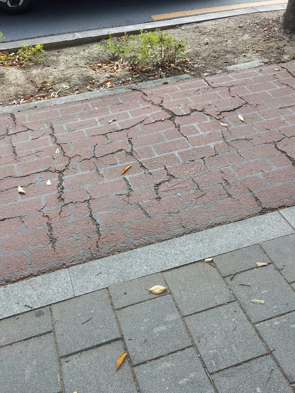 보도블록 균열