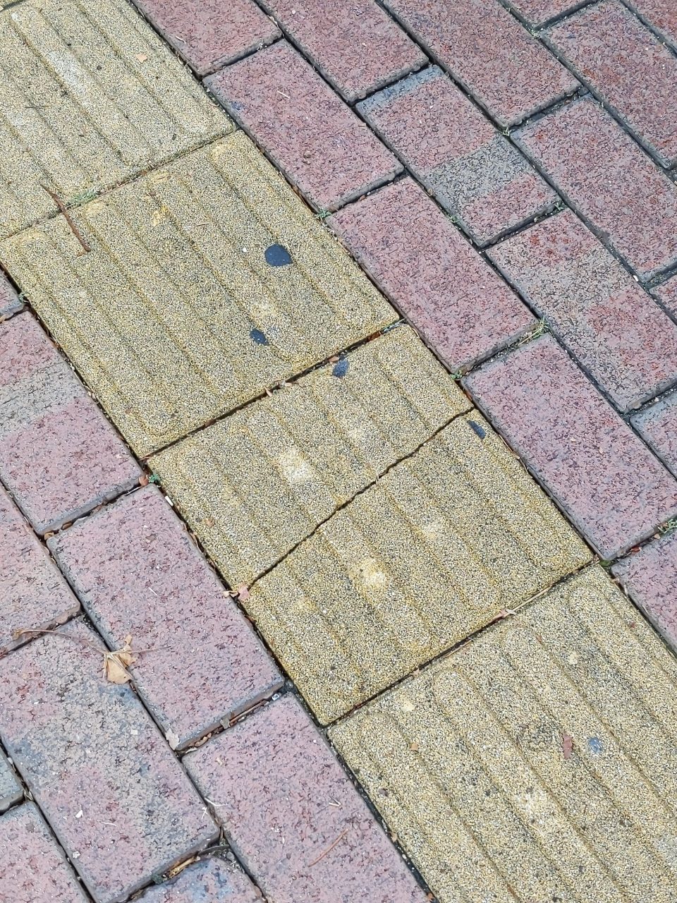 보도블록 균열