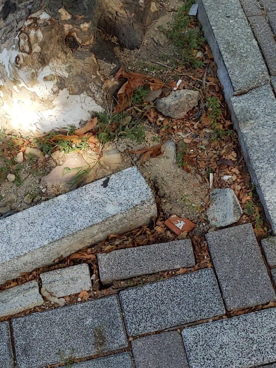 보도블록 구조물 파손