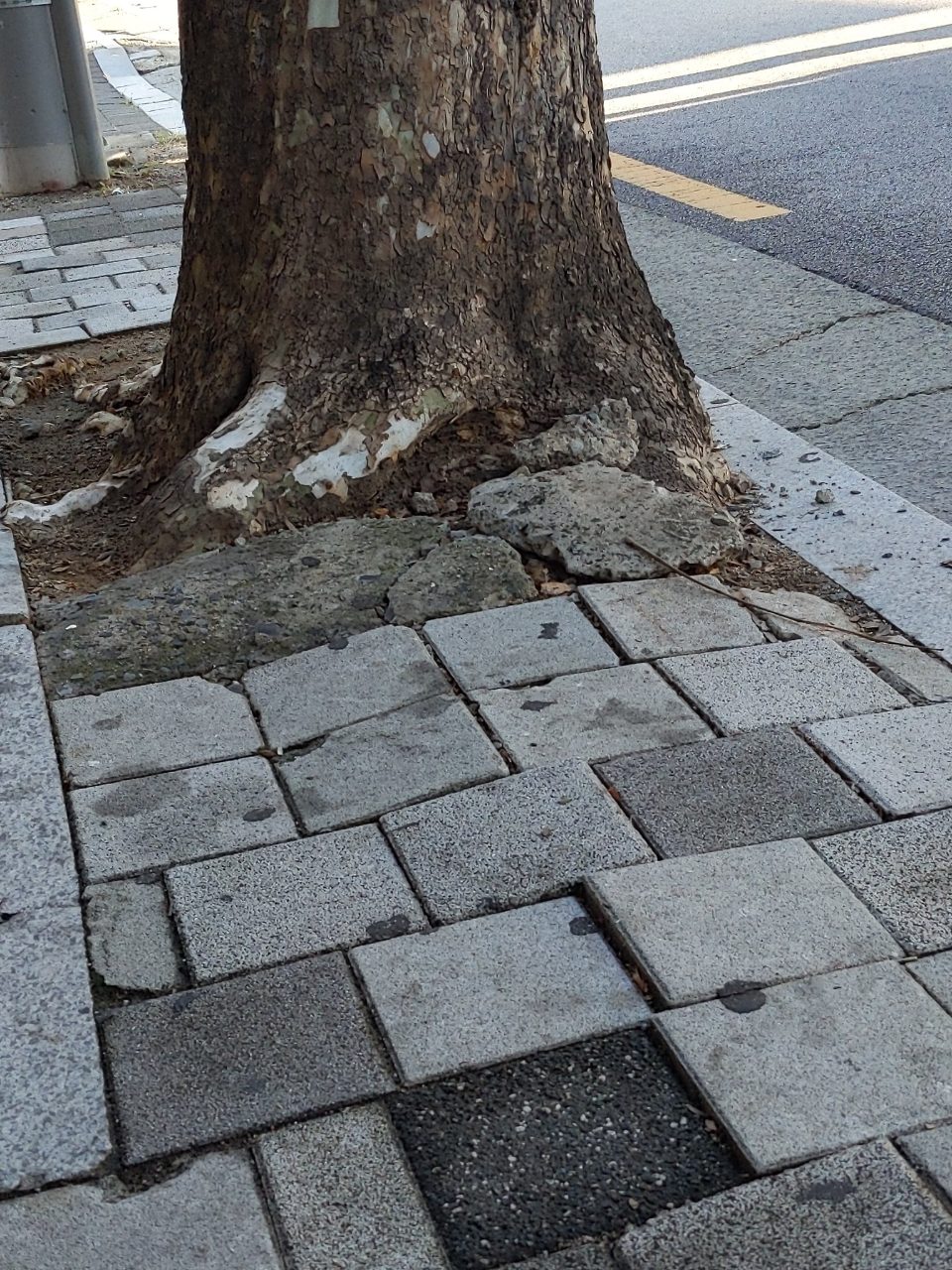 보도블록 구조물 파손