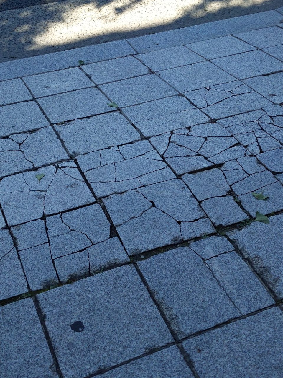 보도블록 균열