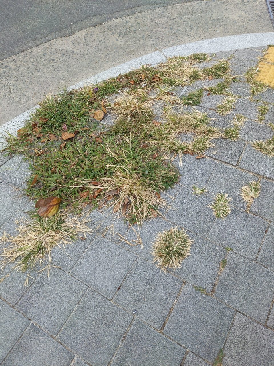 보도블록 변형