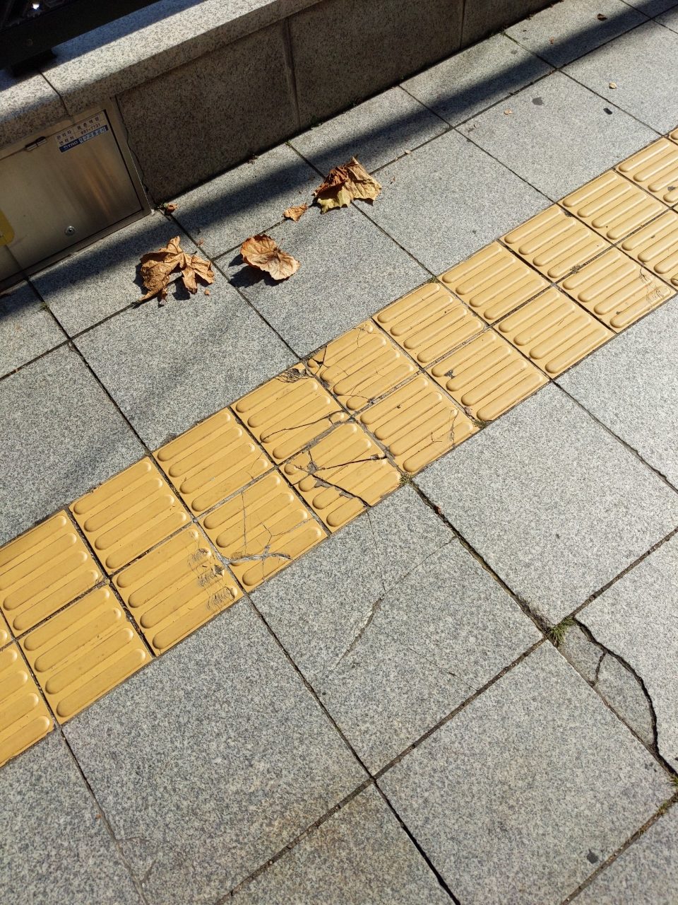 보도블록 균열