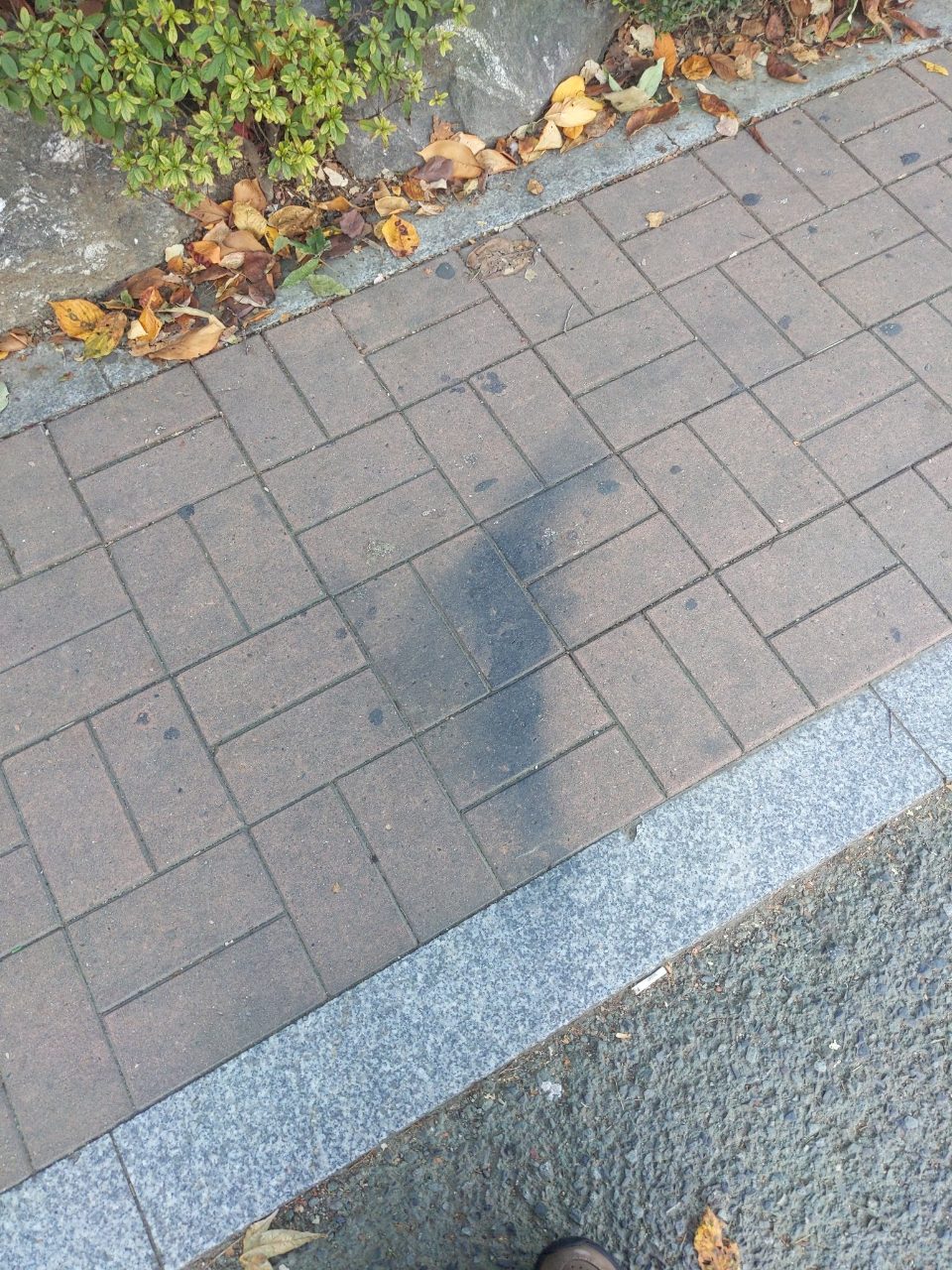 보도블록 변형