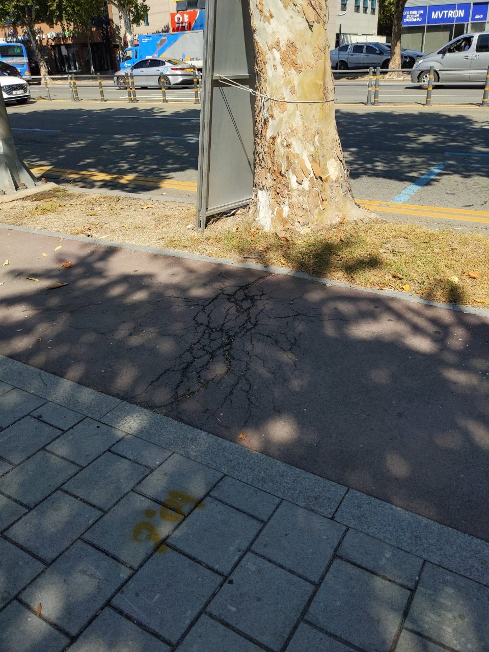 도로 균열