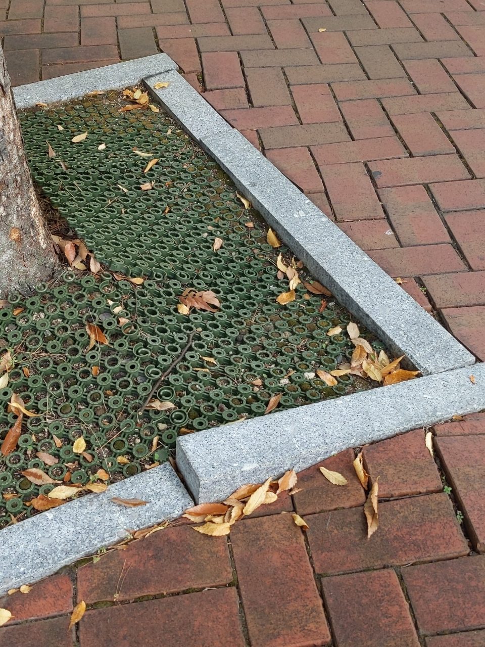 분석 대상 없음