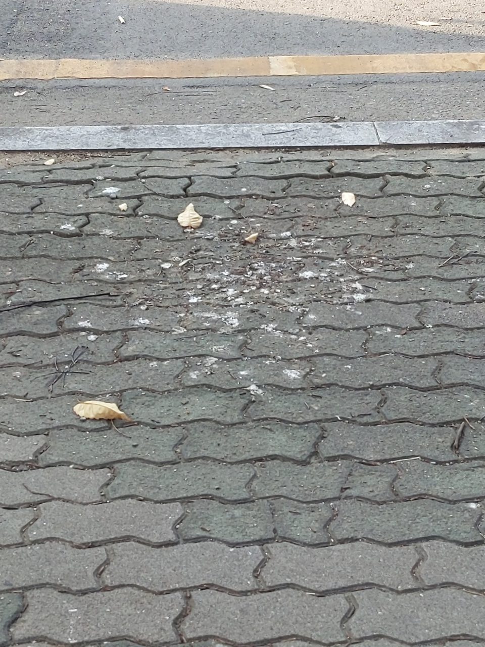 보도블록 구조물 파손