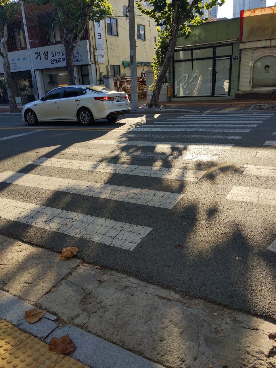 도로 균열