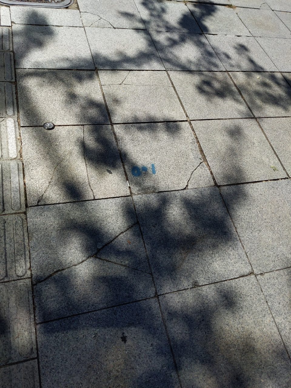 보도블록 균열