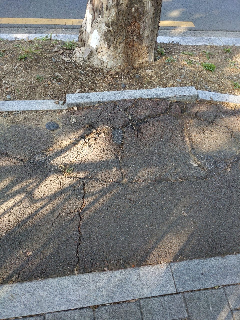 도로 균열