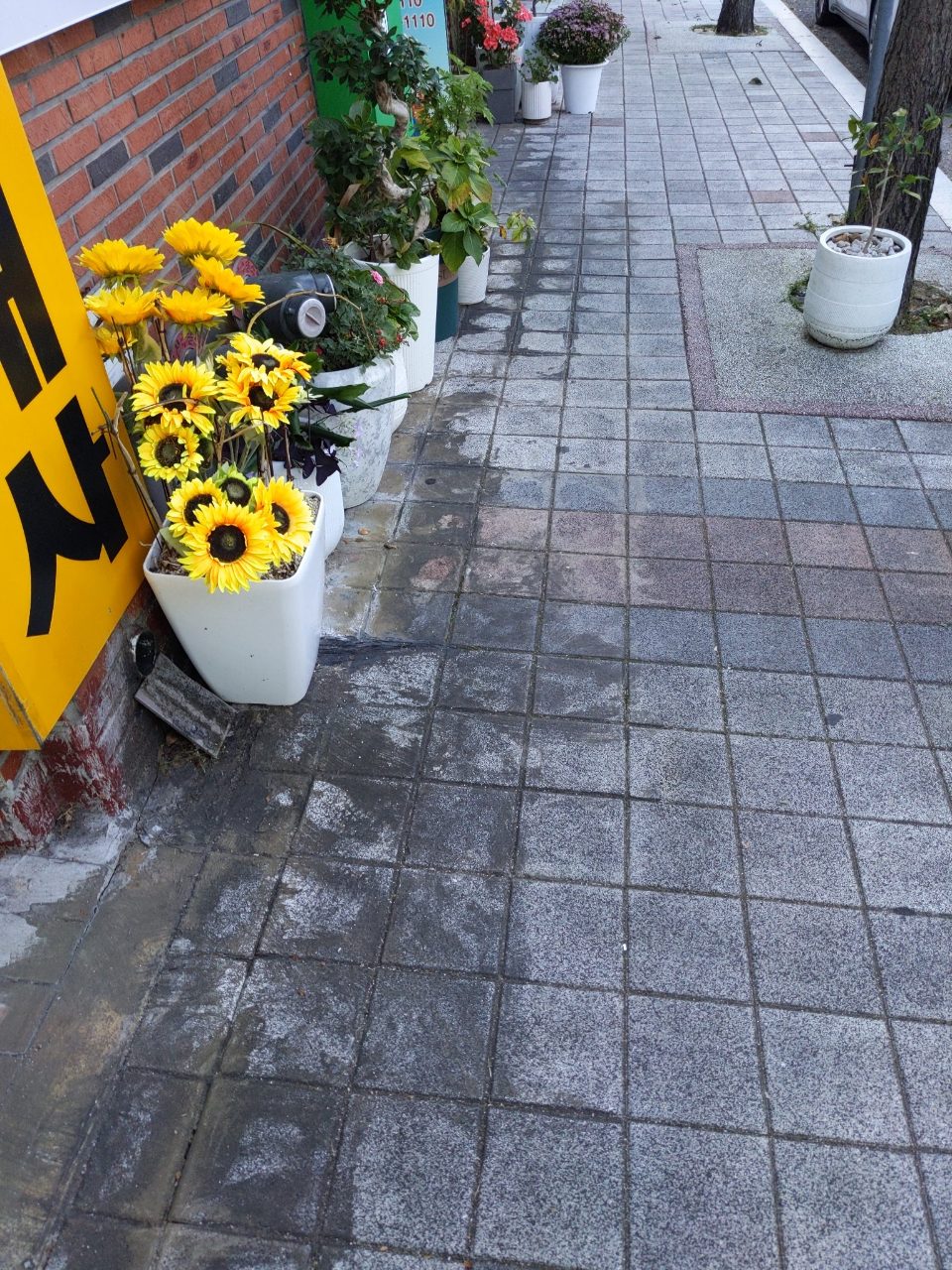 보도블록 이상 없음