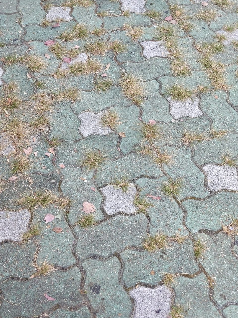 보도블록 균열