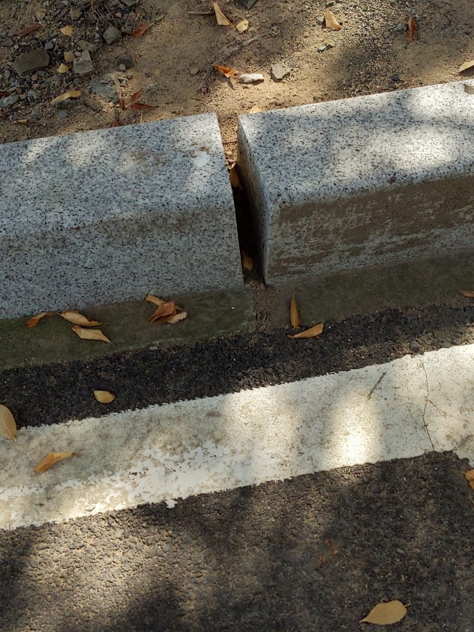 도로 변형